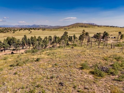 Forbes Park Mountain Land Parcel