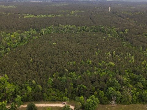 Secluded Bon Wier Acreage For Sale