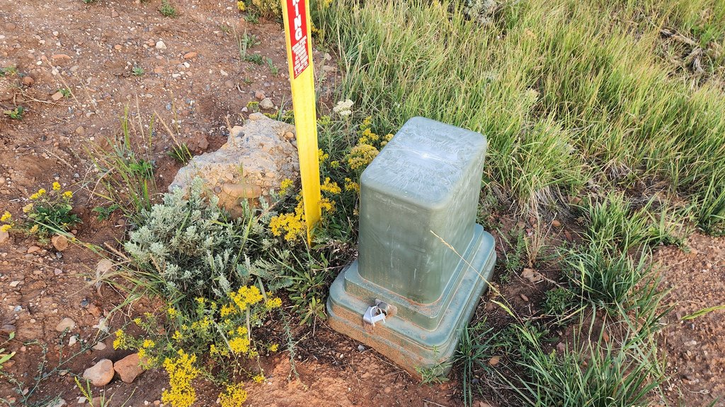 Picture 6