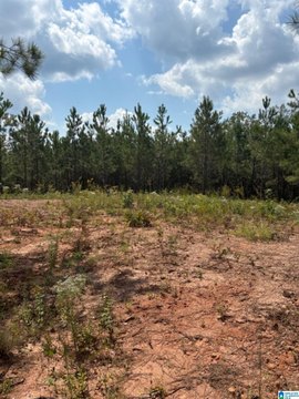 3-Acre Parcel Ready for Building