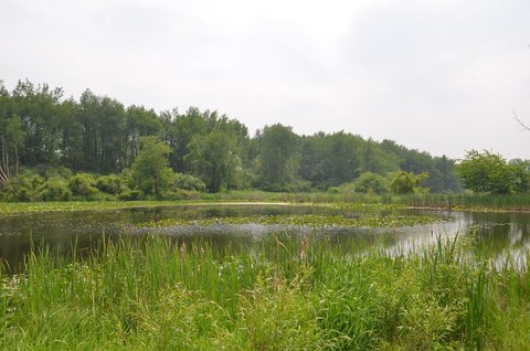 177 Acres of Natural Beauty