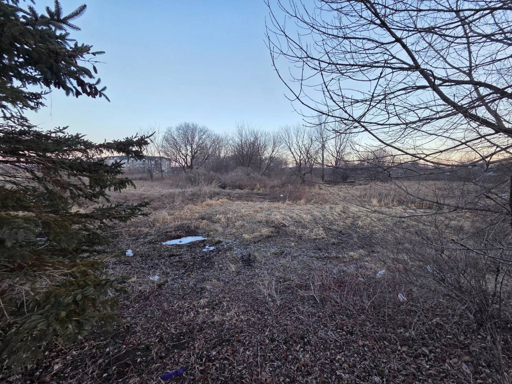 Picture 23