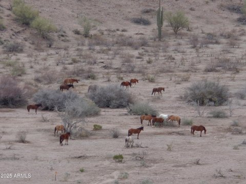 5.43 Acre Lot in McDowell