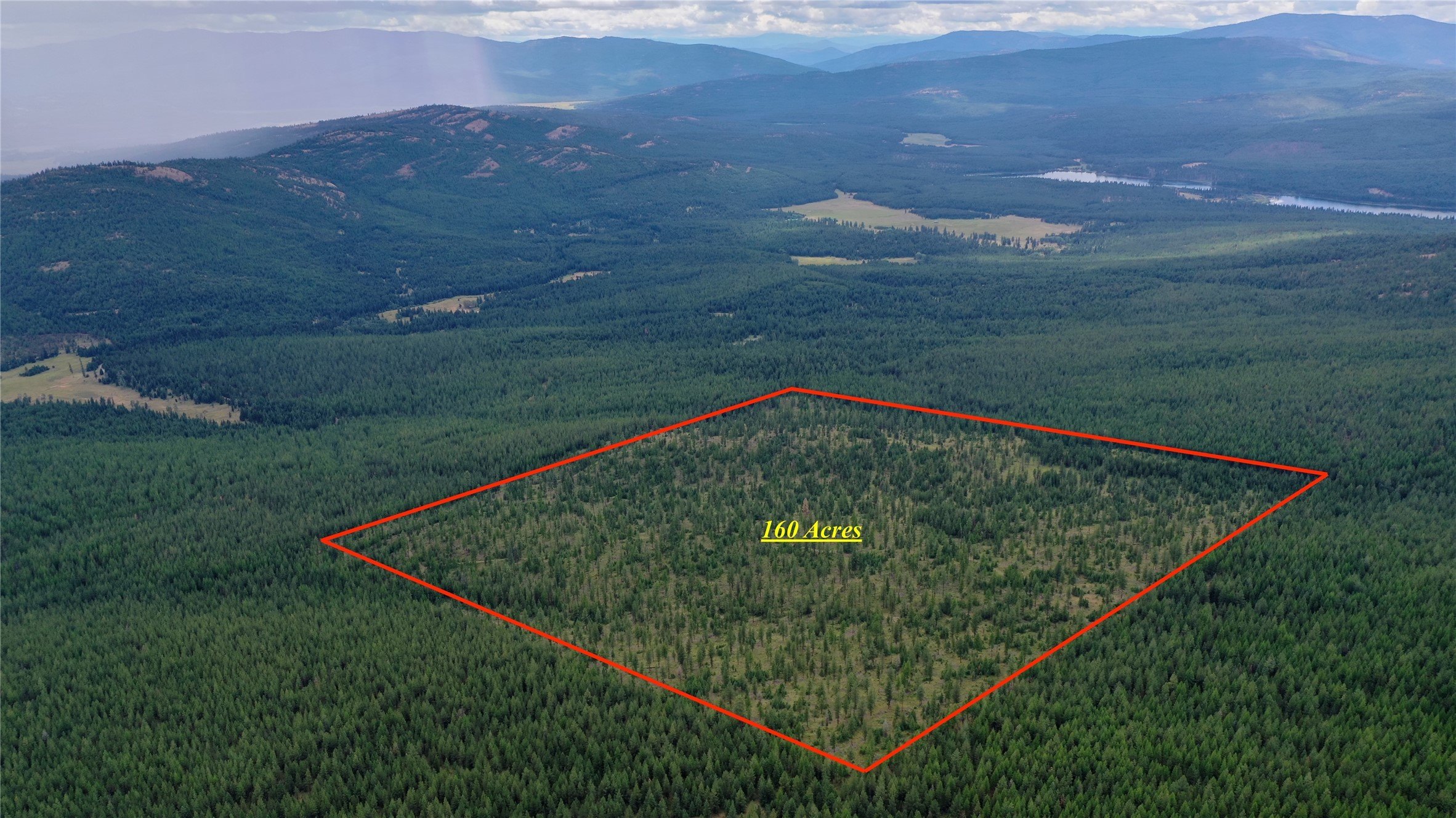 Secluded 160-Acre Montana Tree Farm