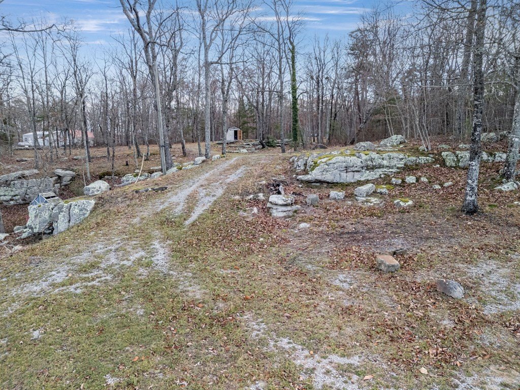 Picture 27