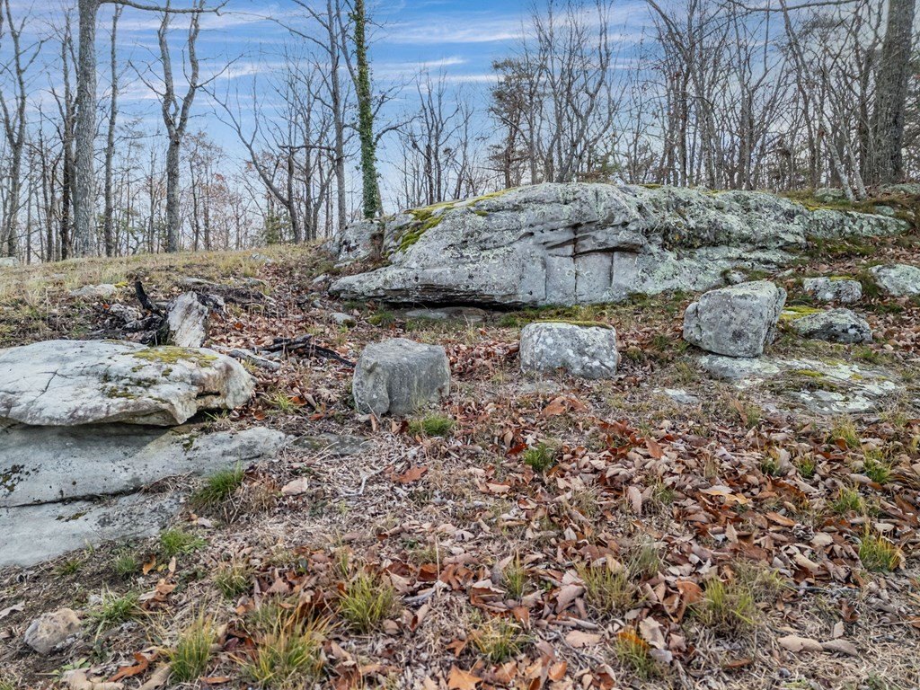 Picture 25
