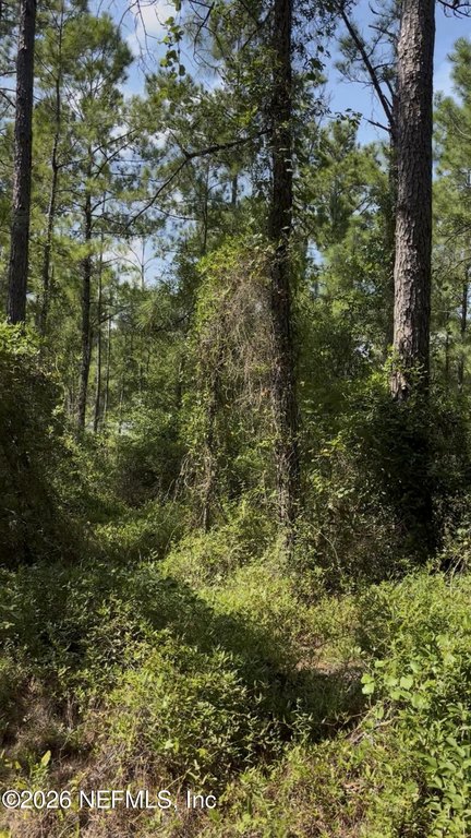 Picture 6