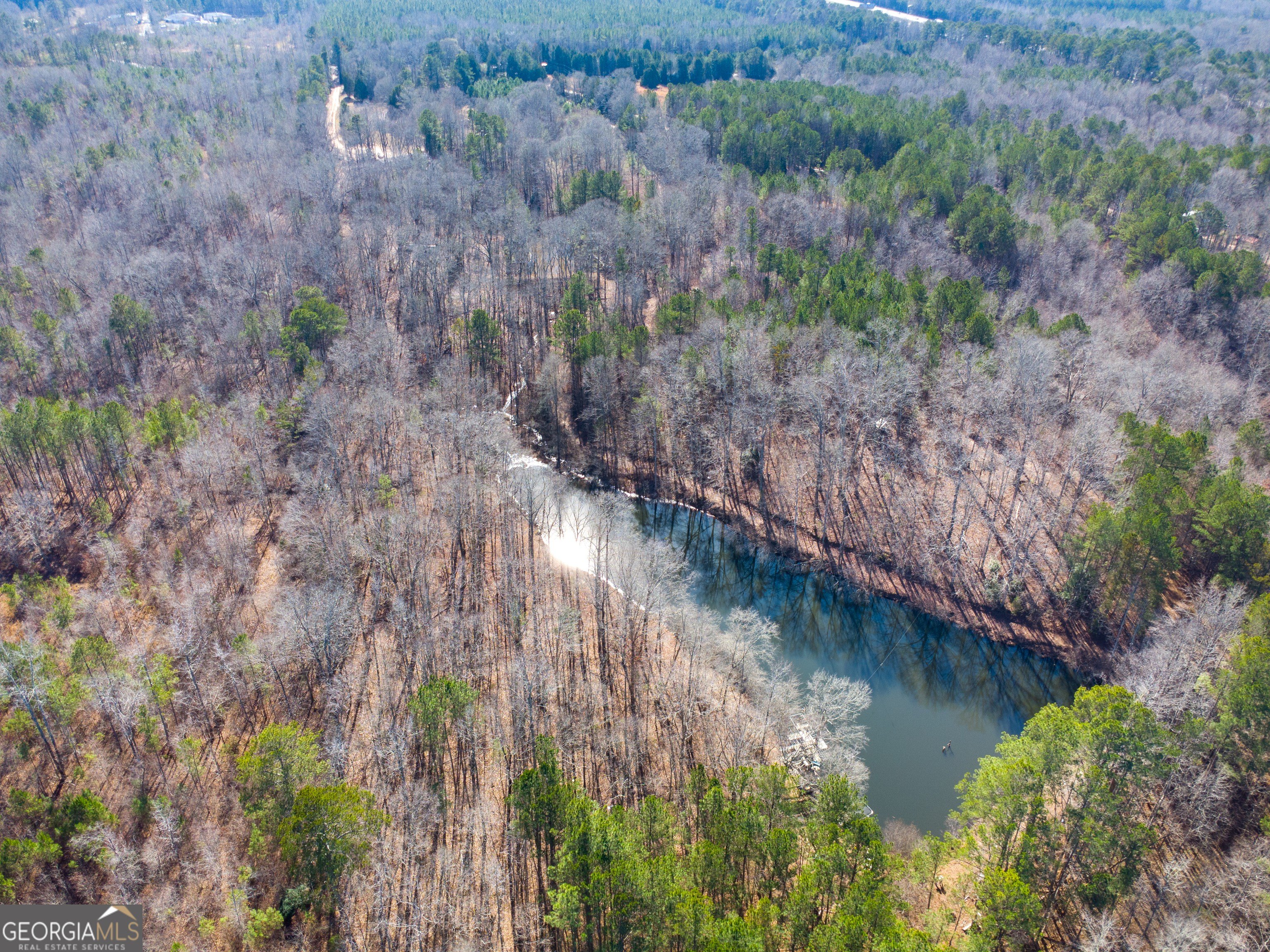 24-Acre Tract in Moreland, GA