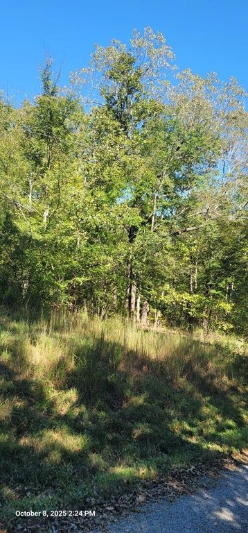 Picture 3