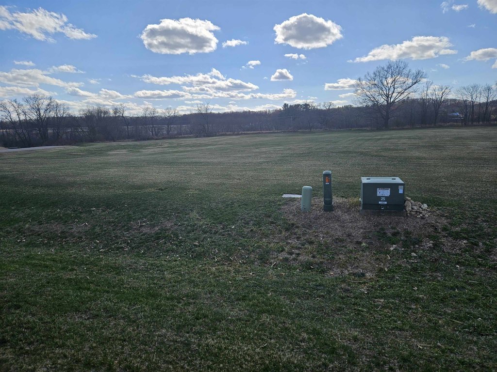 Picture 4