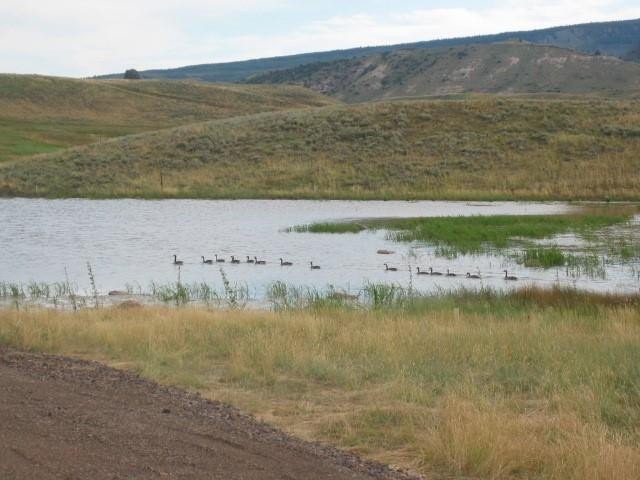 Picture 41