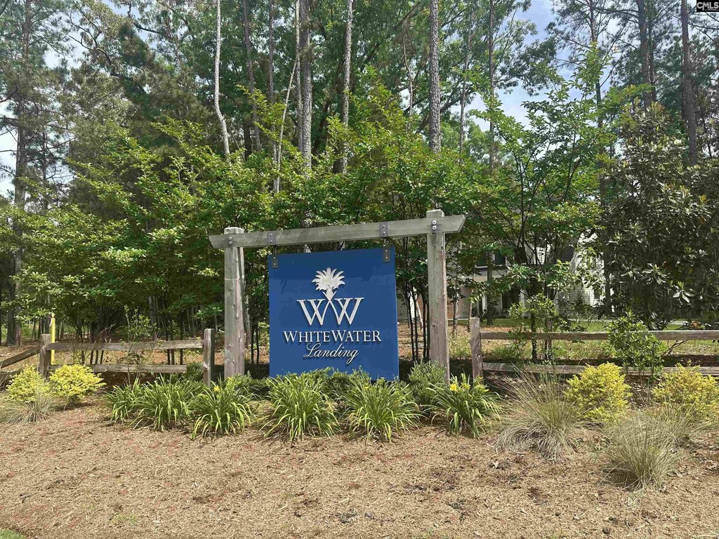 Picture 11