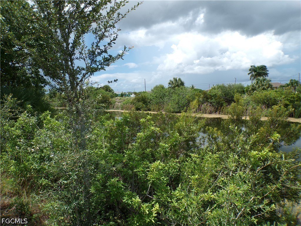 Picture 9