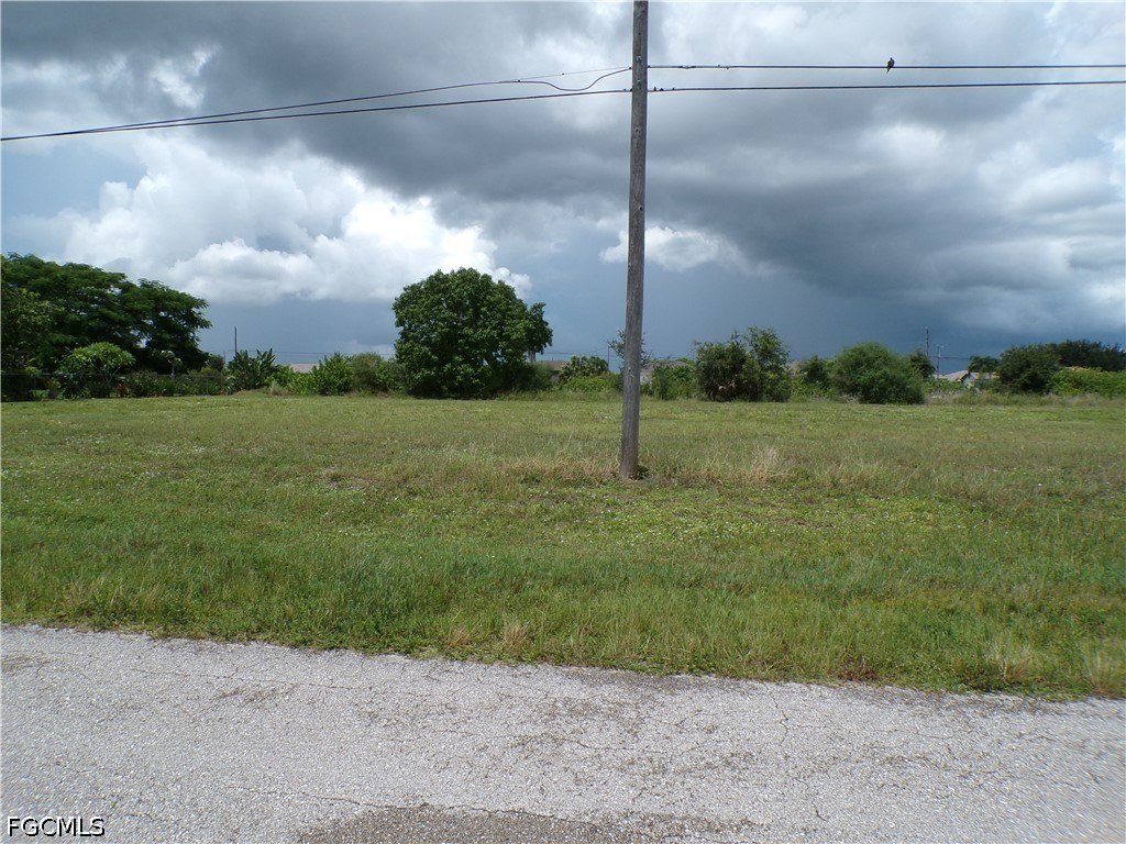Picture 6