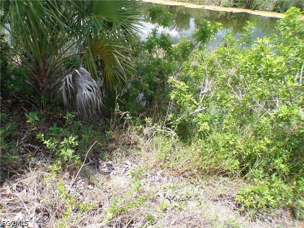 Picture 11