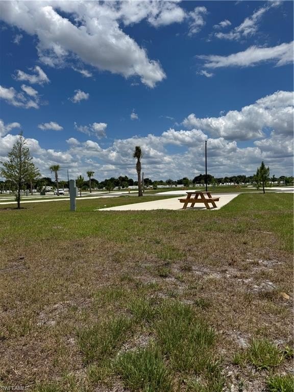 Picture 13