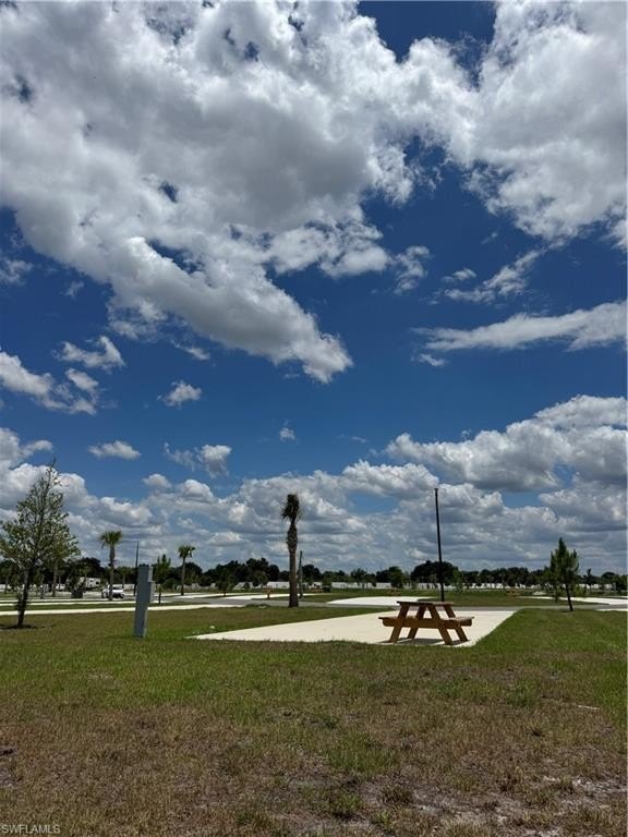 Picture 15