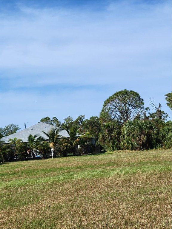 Picture 12