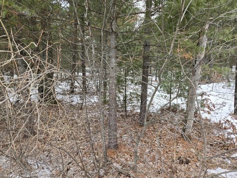 Idlewild Land Parcel For Sale