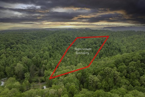 11.56 Acre Hunting Land