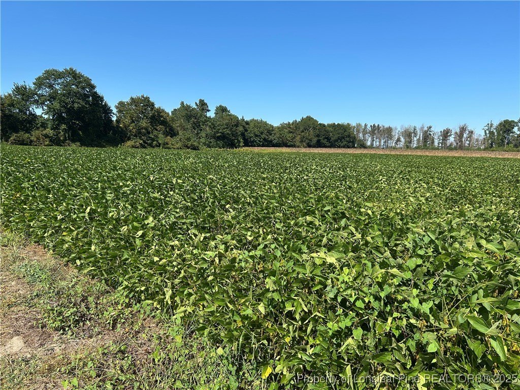 3.05 Acres Land, Raeford, NC
