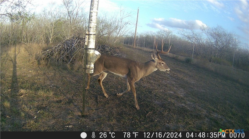 Picture 5