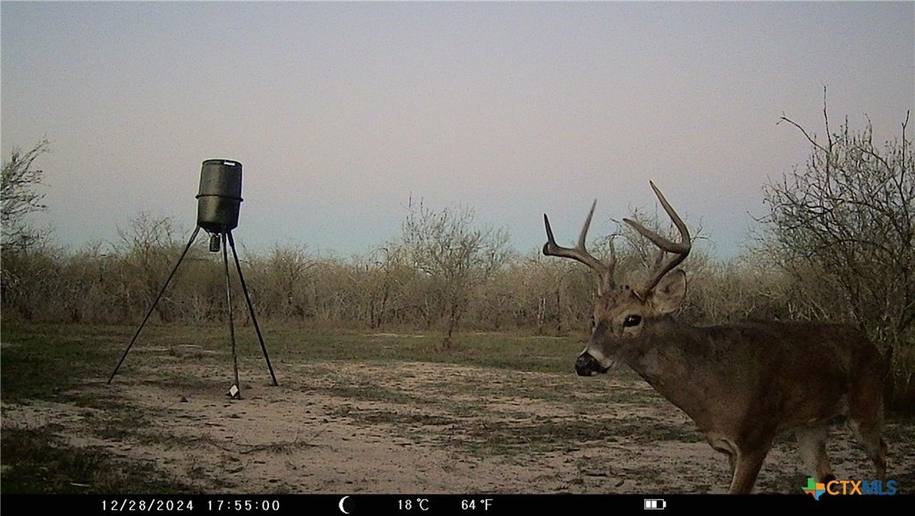 Picture 3