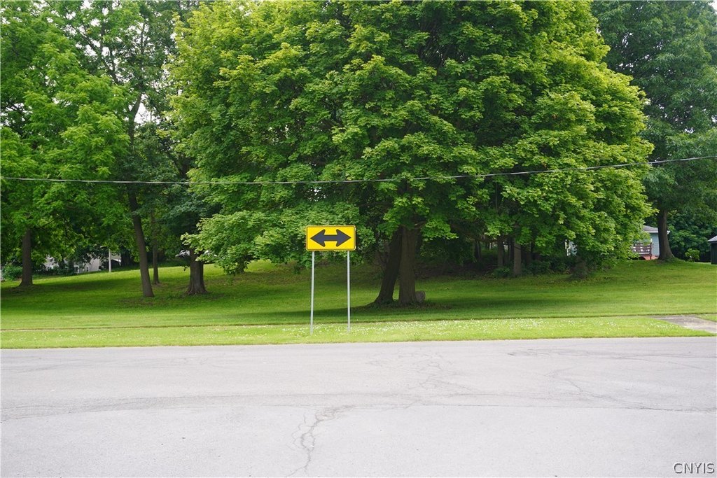 Picture 7