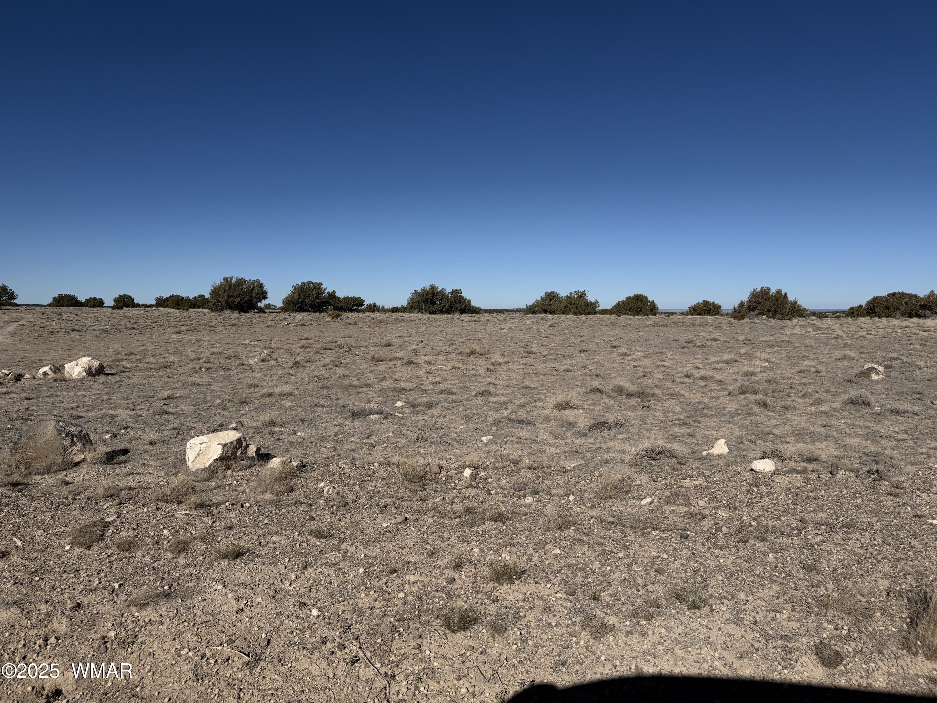 40 Acres in St. Johns