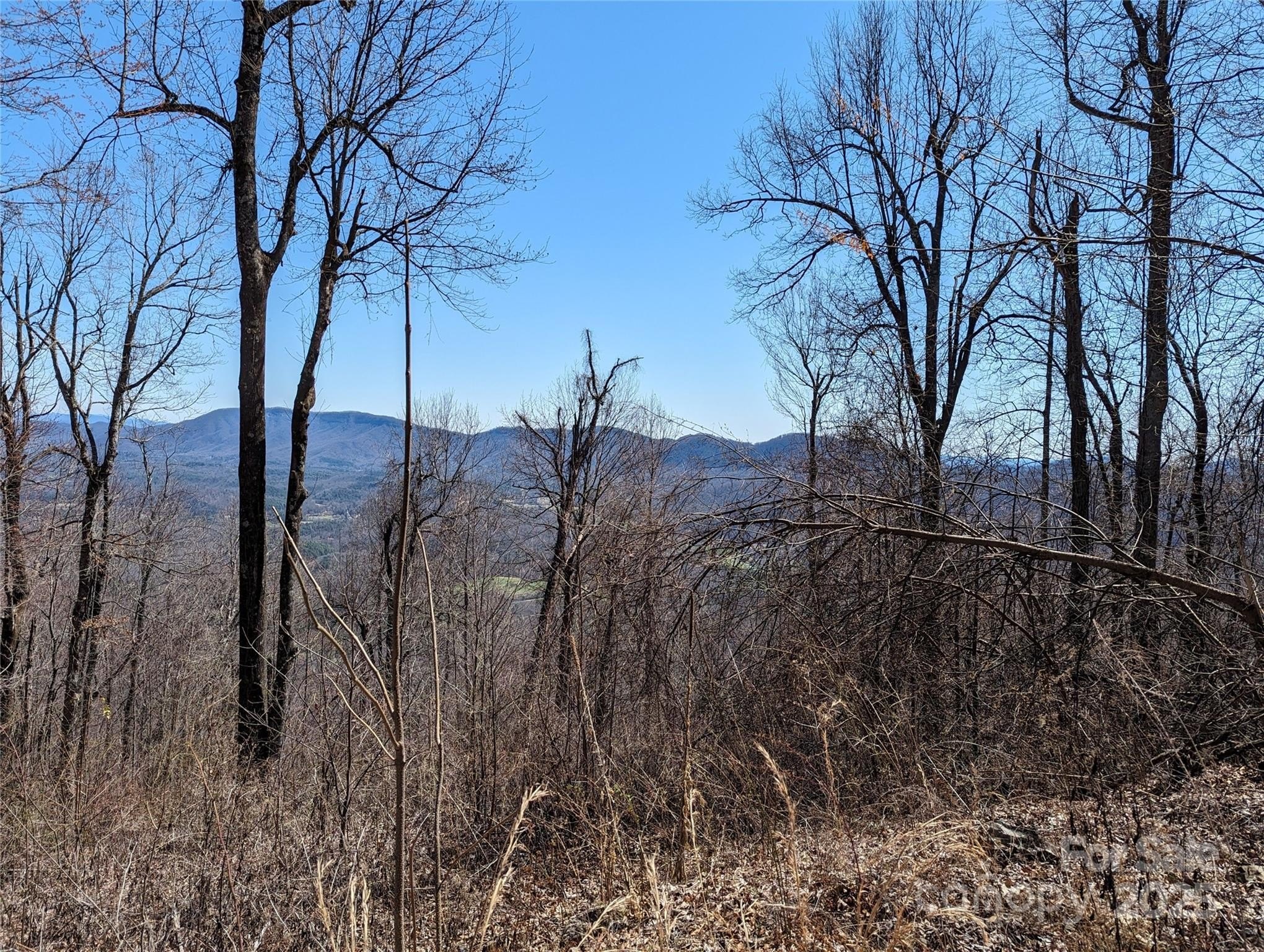Black Mountain Land with Views