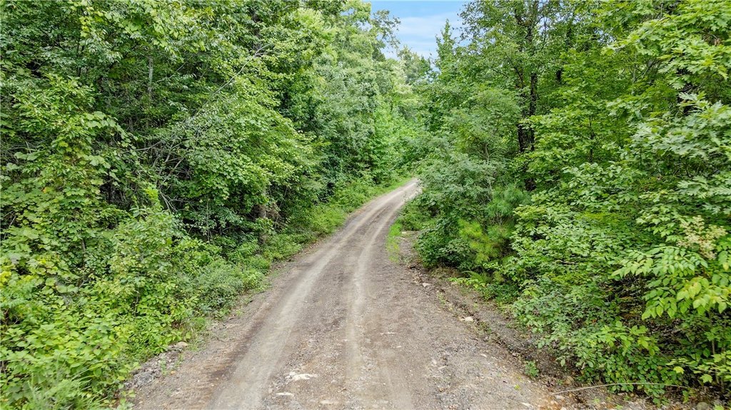 Picture 22