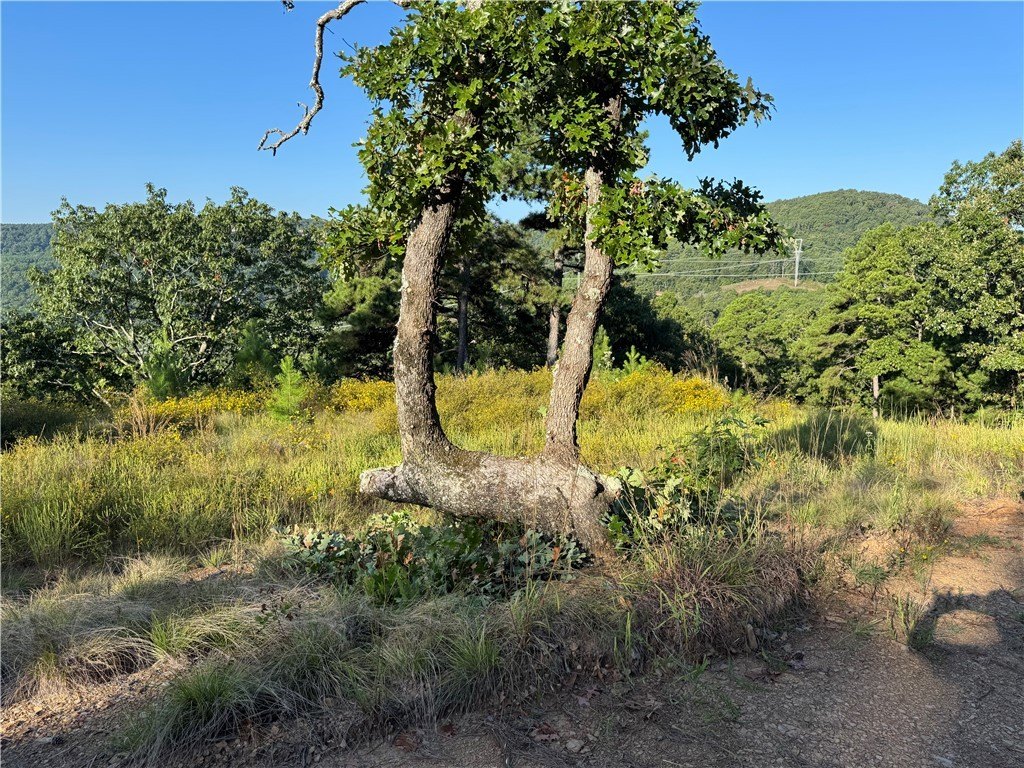 Picture 20