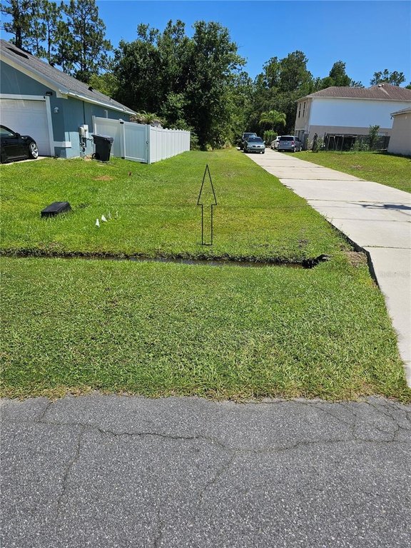 Picture 5