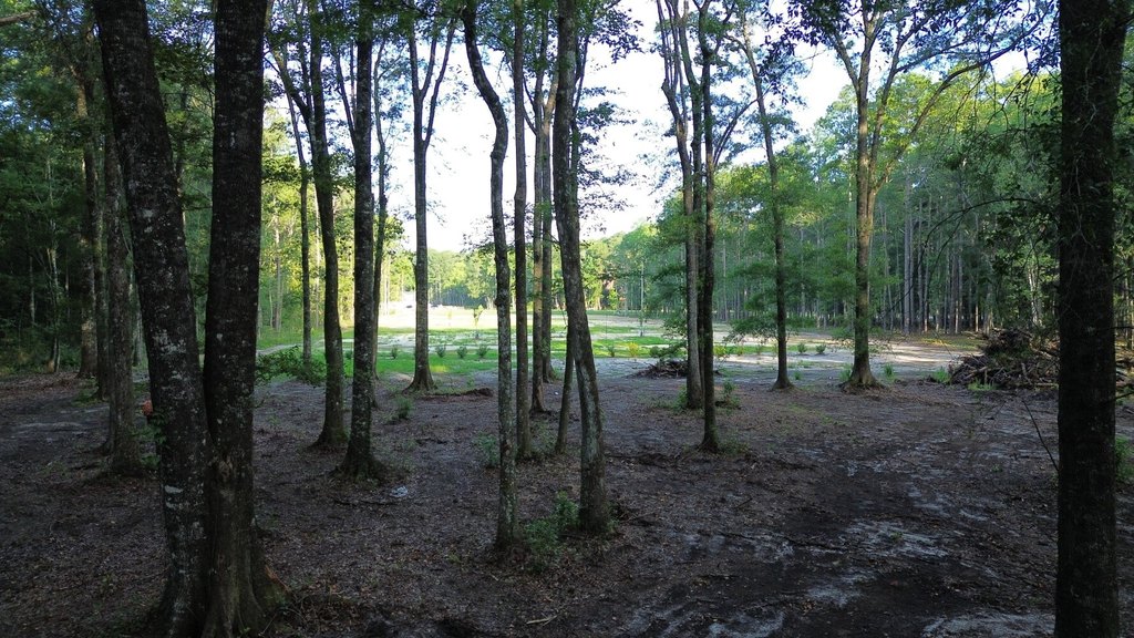 Picture 21
