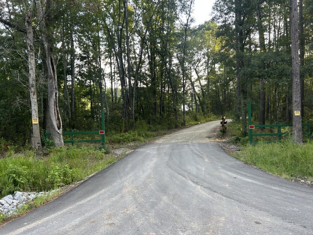 Picture 32