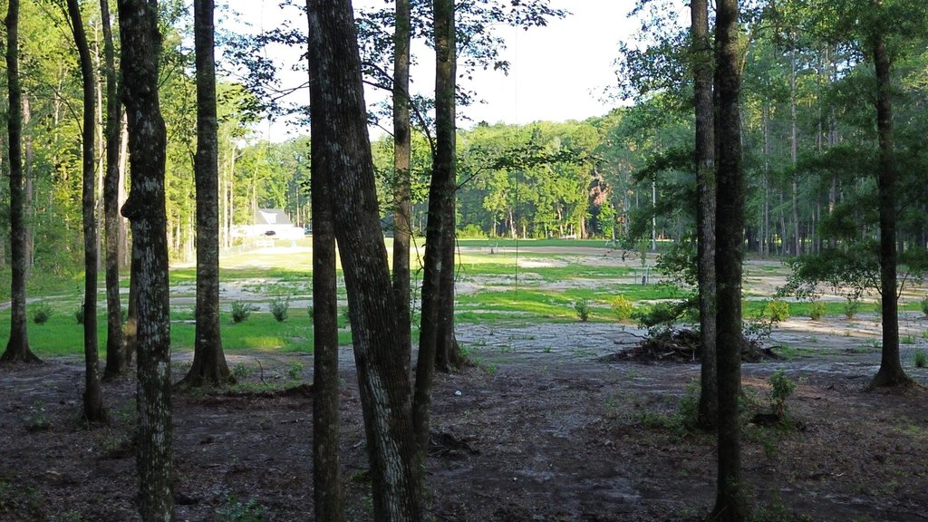 Picture 24