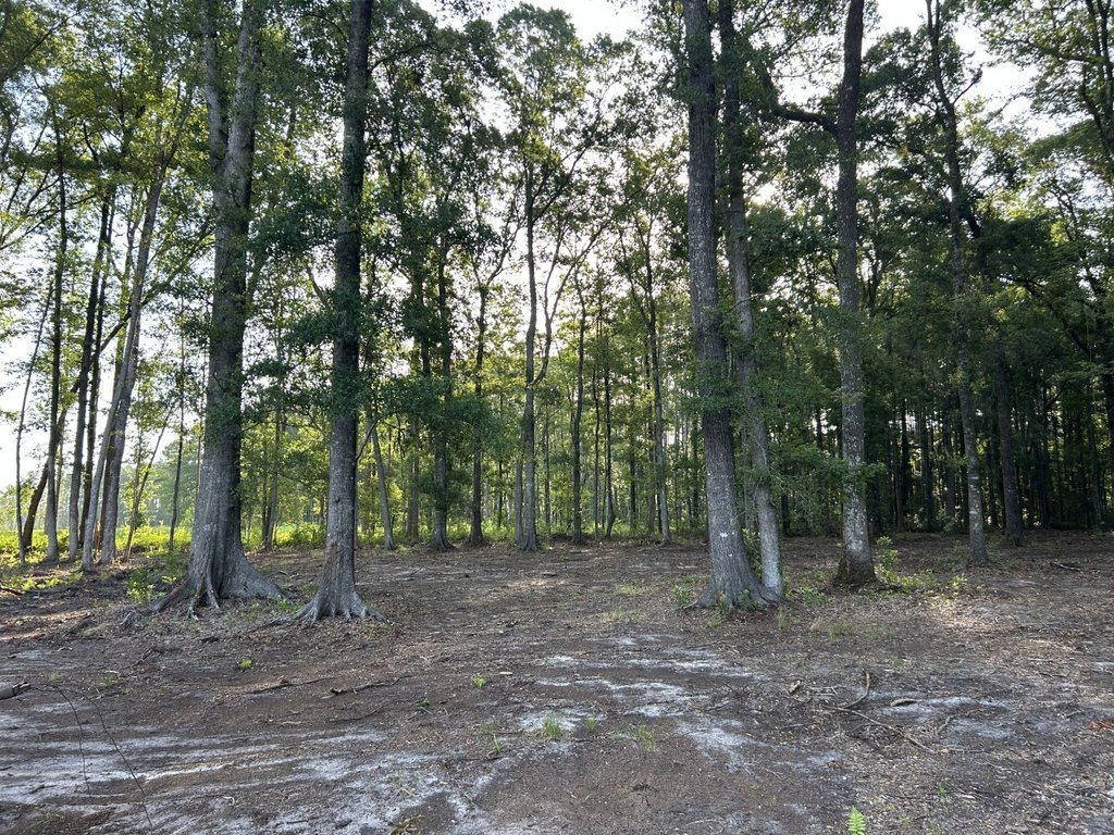 Picture 19