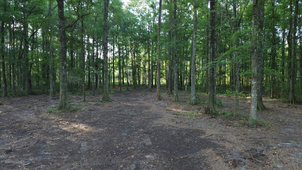 Picture 11