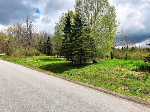 Land, Unadilla, NY