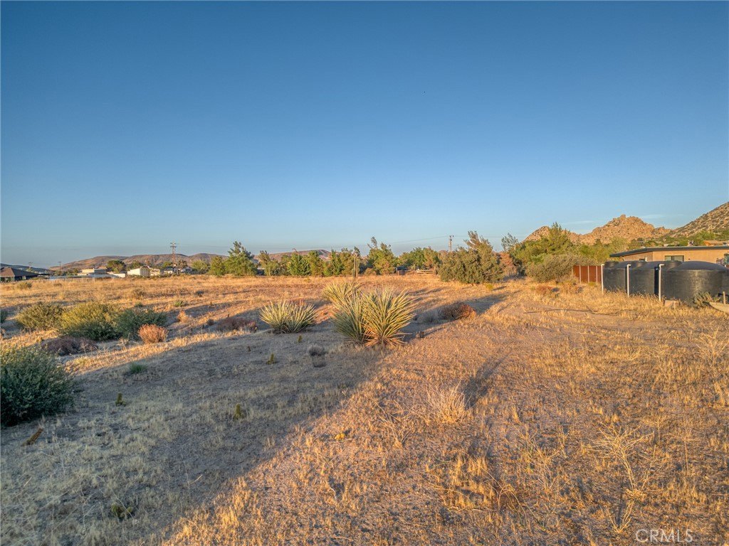 Picture 30