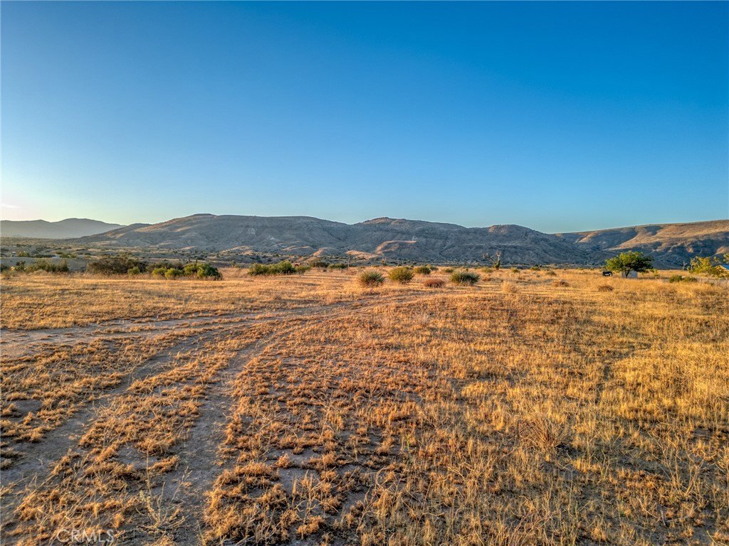 Picture 31