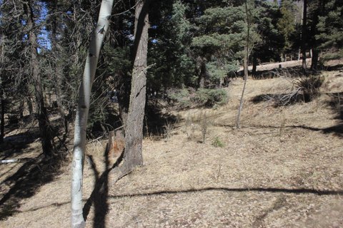 Angel Fire Land For Sale
