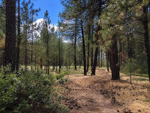 Land, KETTLE FALLS, WA