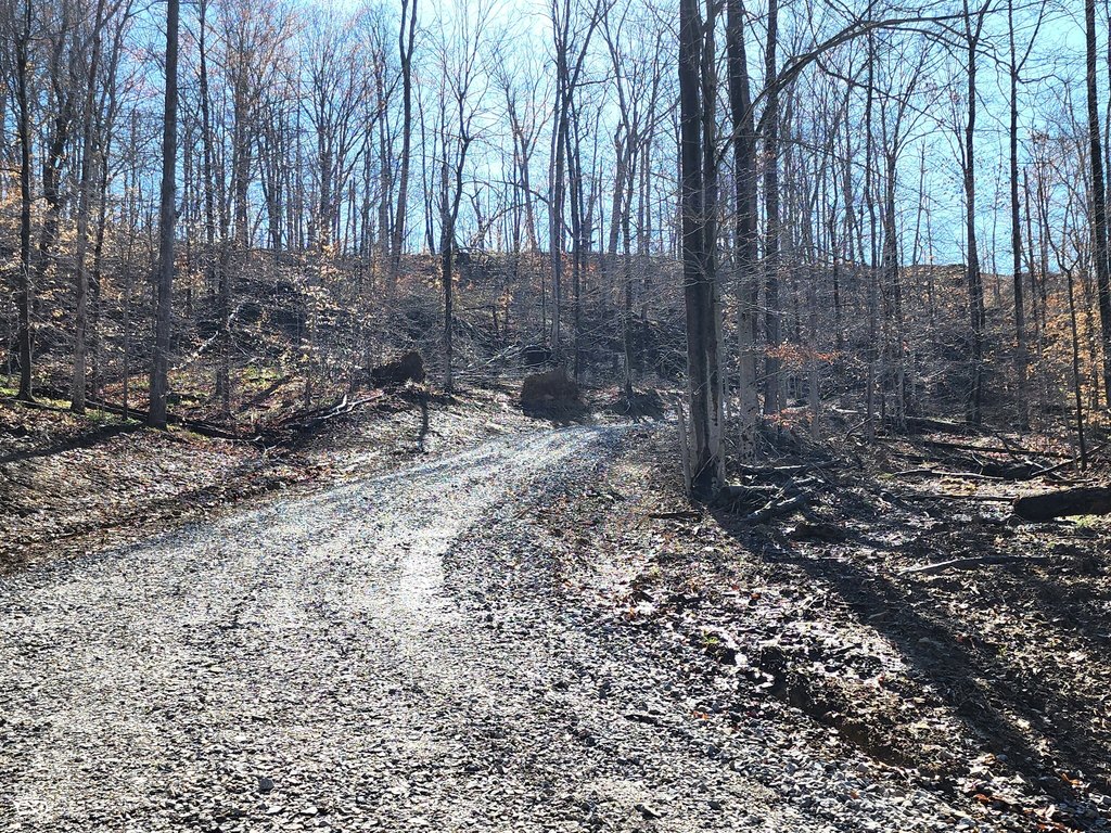 Picture 6