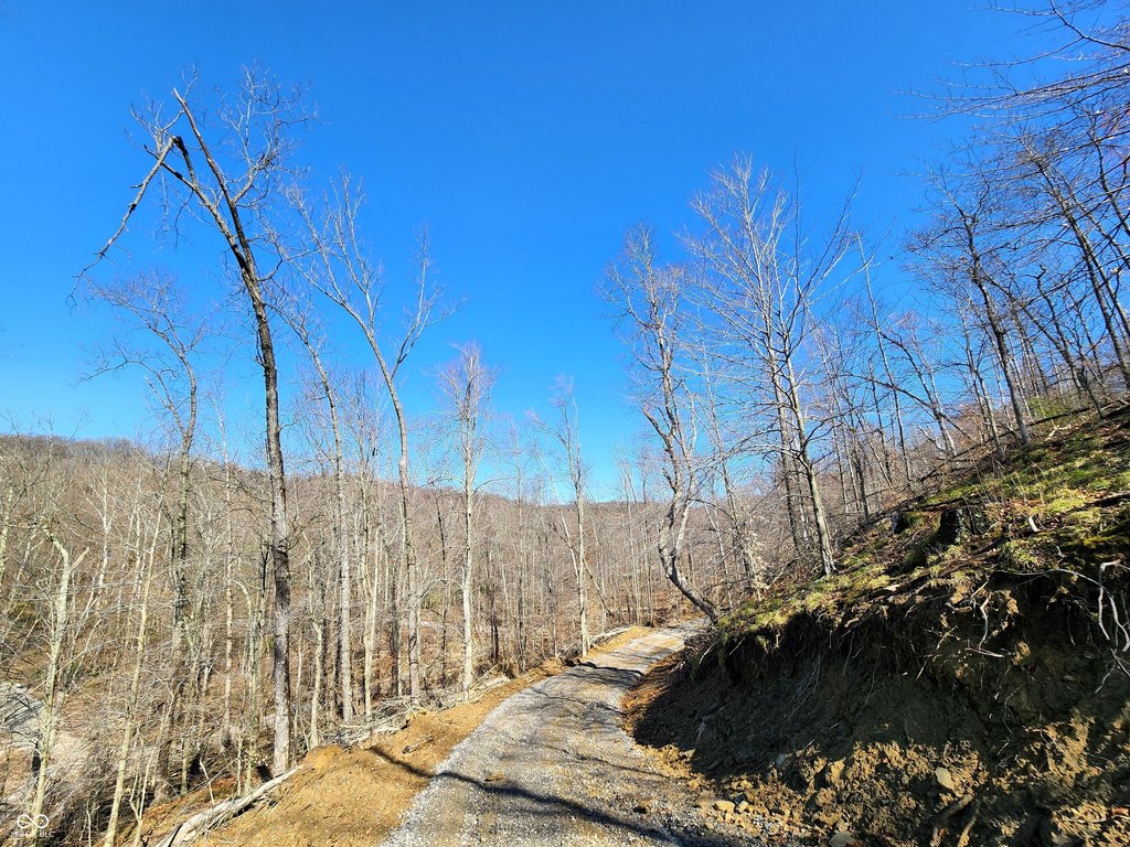Picture 5