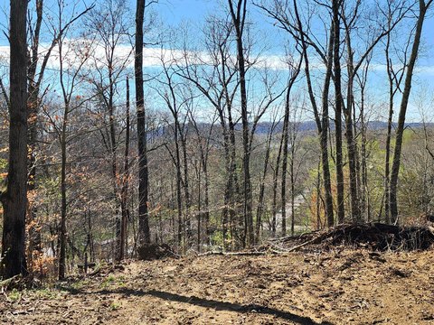 Wooded Agricultural Estate Lot