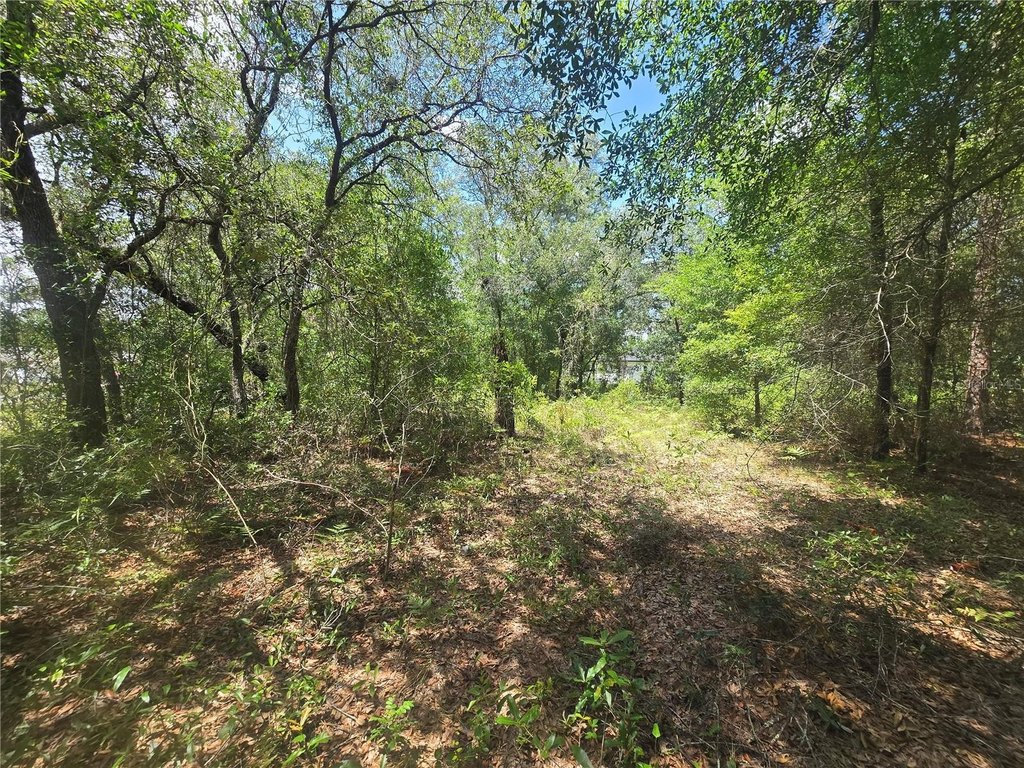 Picture 10