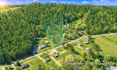 LAND/LOTS, CENTRE, AL