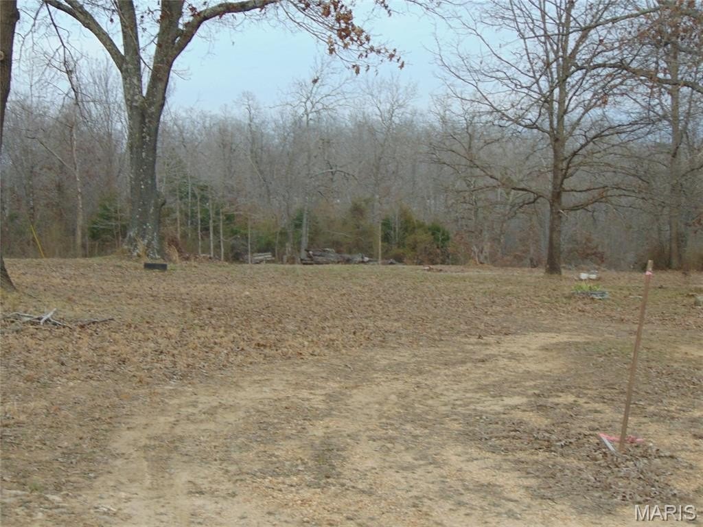 Picture 4
