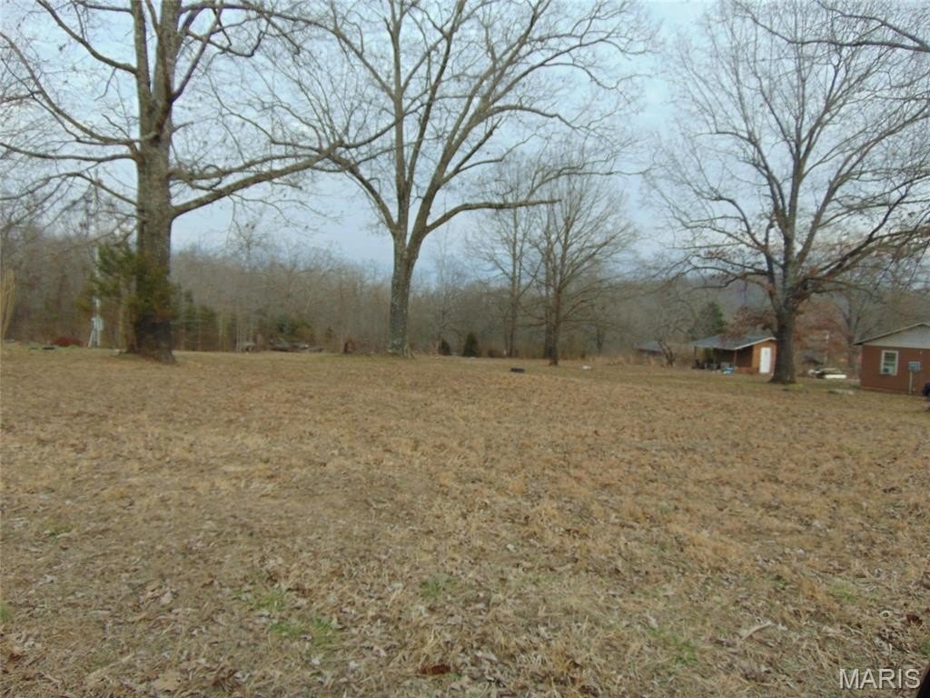 Picture 2